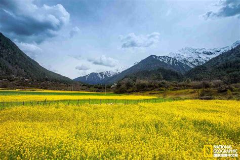 西藏林芝，中国最美的春天，一定要和最爱的人去看！