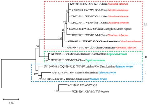 The Characterization of the Tobacco-Derived Wild Tomato Mosaic Virus by ...