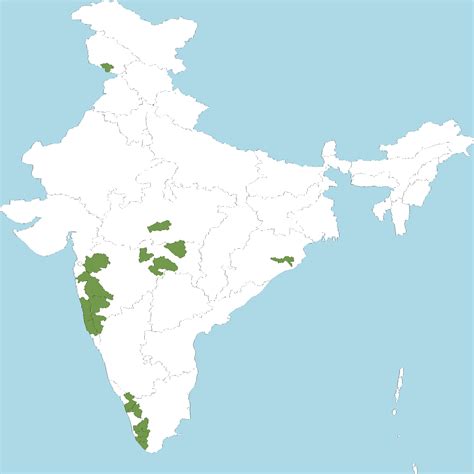 India Flora Online