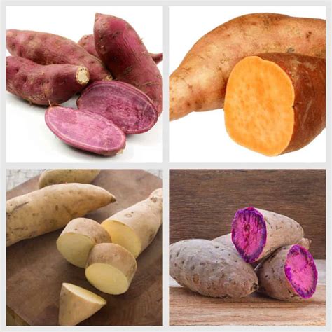 Types Of Yams Pictures