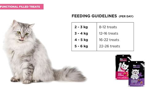 Filomilo Cat Functional Filled Treats Combo Offer140 Grm (Made with ...
