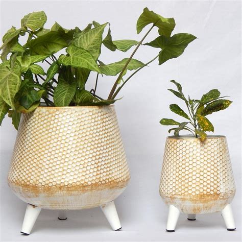 Pots and Planters – Ecofynd