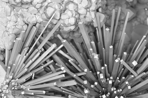 Image result for Scanning Electron Microscope Animation