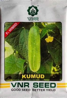 VNR Cucumber, Kheera Seed Price in India - Buy VNR Cucumber, Kheera ...
