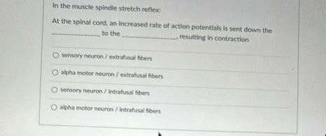 Muscle Spindle Stretch Reflex 的图像结果