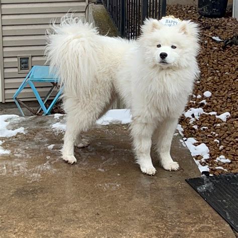 It’s been awhile since I’ve been on here, but today is Giovanni’s first ...