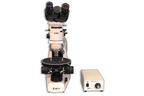 Image result for Compound Brightfield Microscope