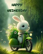 Image result for Good Morning and Happy Wednesday