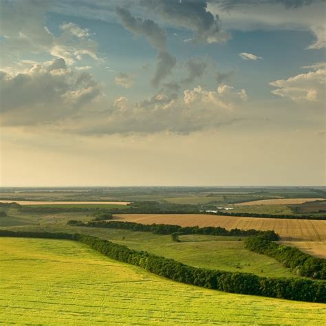 Field Calculator Python 的图像结果