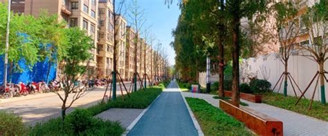 铁汉生态主编的地方标准《绿道建设规范》正式发布实施-国际环保在线