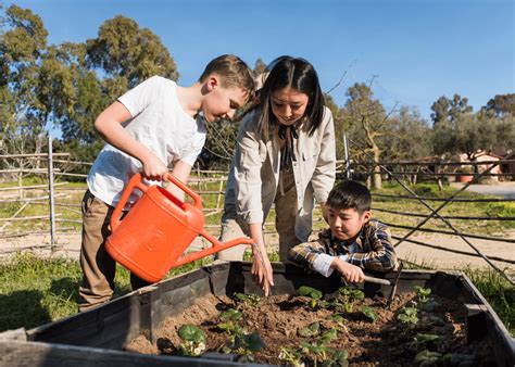 Children Learning Outside 的图像结果
