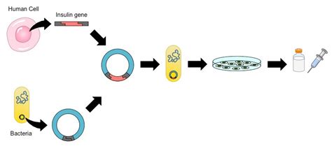 Genetic Engineering 的图像结果