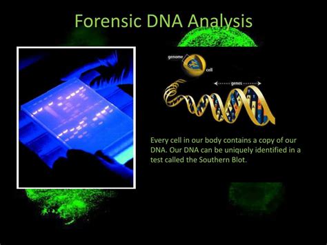 Forensic DNA 的图像结果