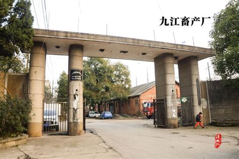 成都九江环保发电厂 图片 | 轩视界