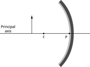 Numerical based on magnification — task. Science CBSE, Class 10.