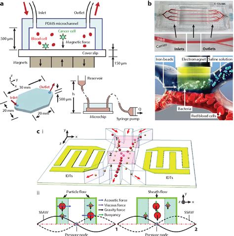 Image result for Cell Sorting Microfluidic Chip