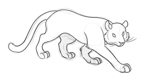 Tiger Walk Cycle Tutorial 的图像结果