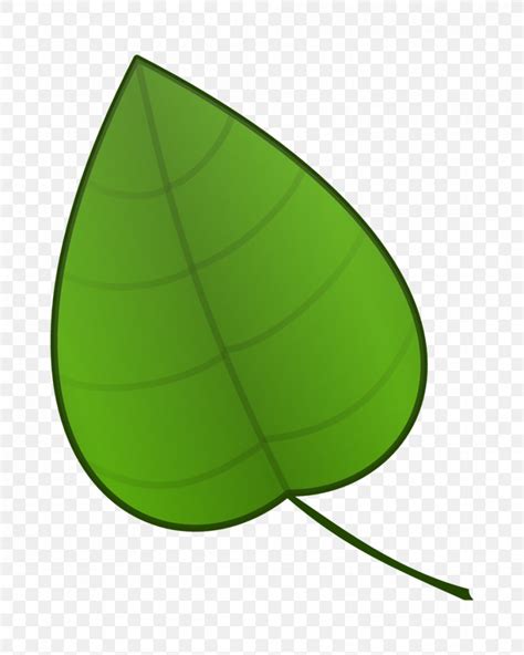 Image result for Leaf Modification Animation