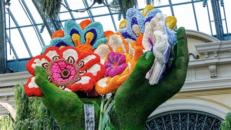 bellagio indslotss today,Higher download