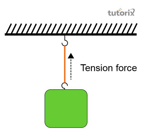 Example of Tension Force 的图像结果