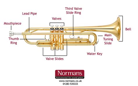 Image result for Orchestra Sections