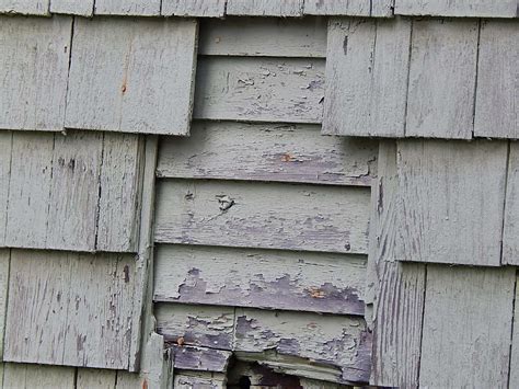 Painted Vertical Wood Siding