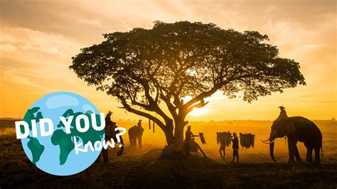 10 Interesting Facts about Kenya - Children's Hunger Fund