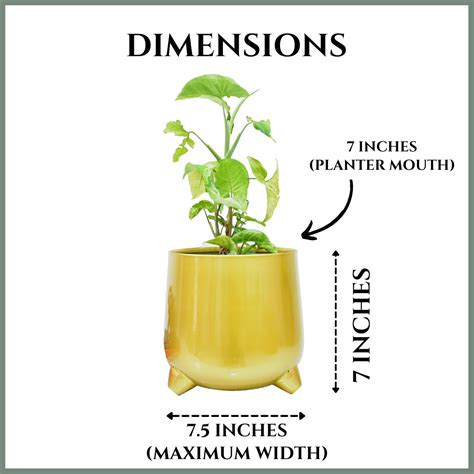 Aurum Glossy Golden Indoor Metal Planter | Buy 7-Inch Elegant Pot For ...