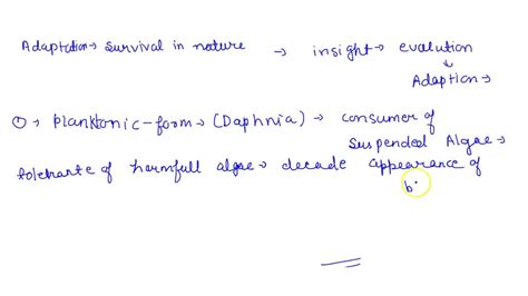 Class 10 Chapter Our Environment Notes 的图像结果