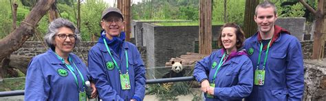 4 Days Wolong Wild Panda Tour