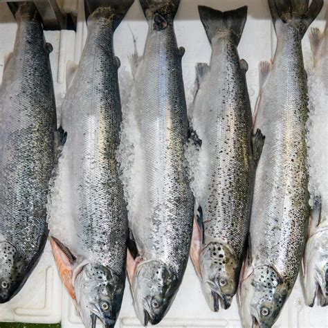 gallery – Blue Harbour London