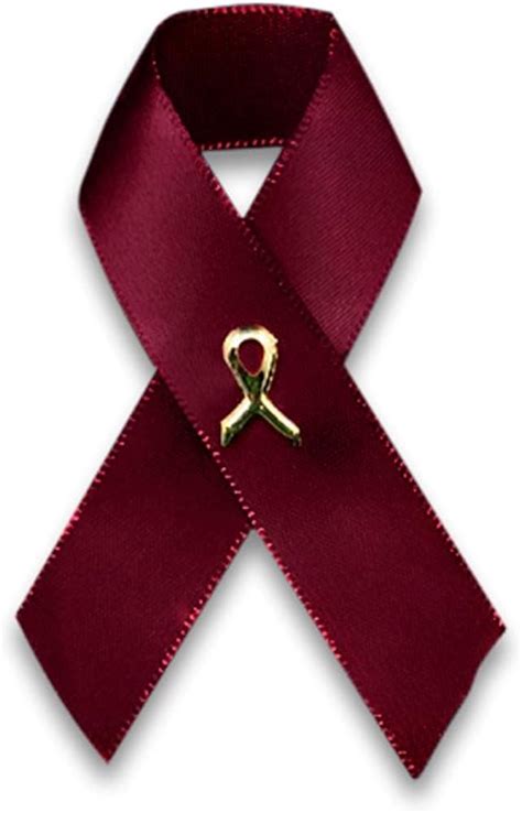 Buy Satin Burgundy Ribbon Awareness Wholesale Pack Pins – Burgundy ...