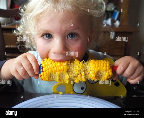 Can Corn Eat Babies at Virginia Olsen blog