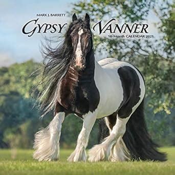 Buy Gypsy Vanner Horse 2021 Calendar Book Online at Low Prices in India ...