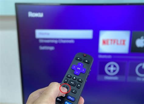 Roku Remote Button Guide 的图像结果