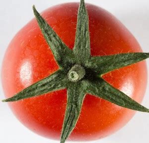 Cloud Farm Tomato Seeds Seed Price in India - Buy Cloud Farm Tomato ...