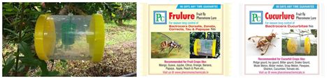 Combo Pack for Cucurbits and Creepers Fruit Fly Trap and Lure - 4 Pack ...