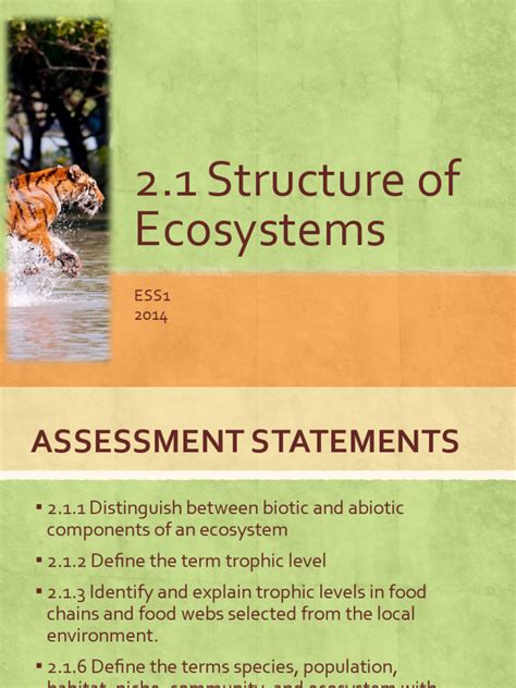 Image result for Ecosystem Structure Model