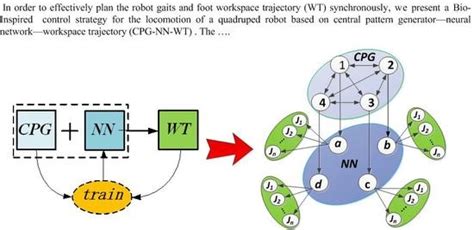 A Bio-Inspired Control Strategy for Locomotion of a Quadruped Robot