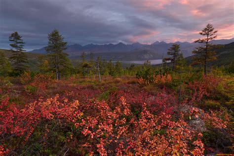 Обои Kolyma Природа Пейзажи, обои для рабочего стола, фотографии kolyma ...