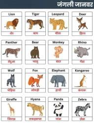 Poster जानवरों के नाम - Hindi for UKG PDF Download