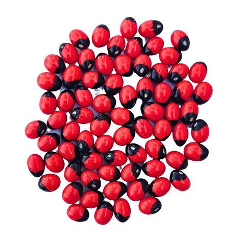 Tribal Craft™ Rakt Gunja for Laxmi Pooja, Abrus precatorius, Ratee, Red ...