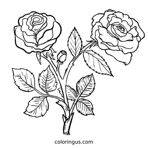 Flowers And Roses Coloring Pages