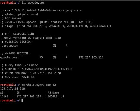 Get IP From Domain 的图像结果