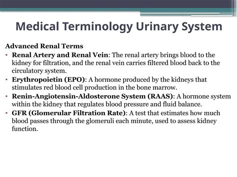 Medical Terminology Urinary System-1.pptx