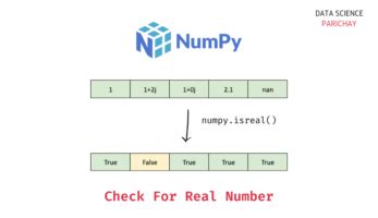 Image result for Real Python-Numpy