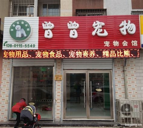 曾曾宠物店在线预约美容服务