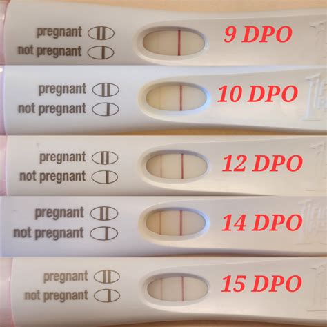 Line progression? | BabyCenter