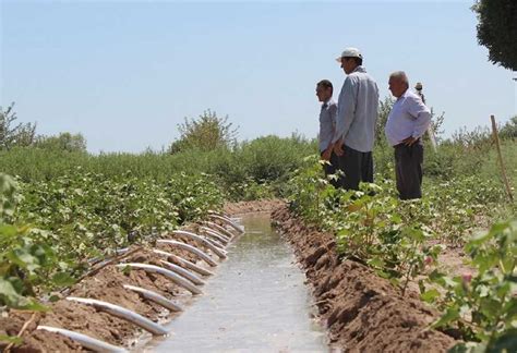 The principles of integrated water resources management into the ...