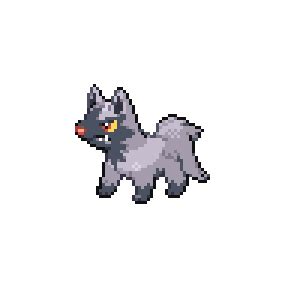 Poochyena #502 - FusionDex
